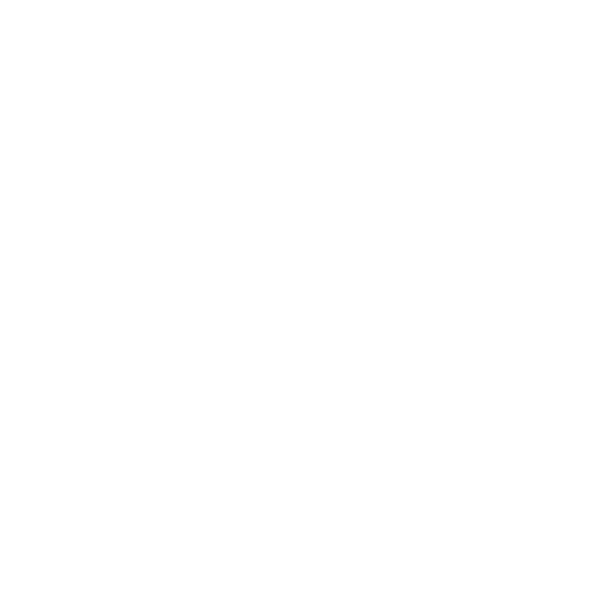F-S-View
